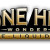 One Hit Wonder