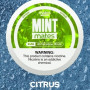 7 Daze Mint Mates - シトラス